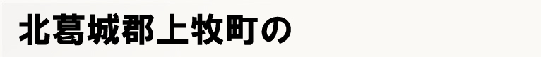 �k����S��q���̃|�X�e�B���O