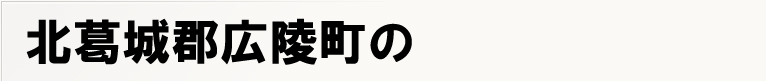 �k����S�L�˒��̃|�X�e�B���O