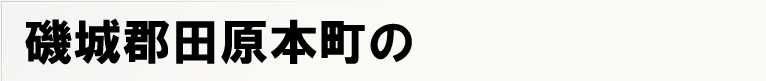 ���S�c���{���̃|�X�e�B���O