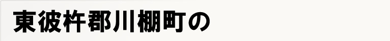 ���ދn�S��I���̃|�X�e�B���O