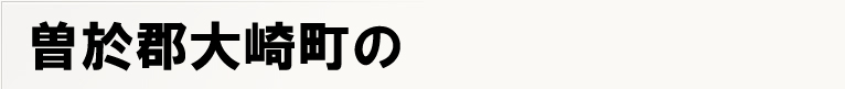 �]���S��蒬�̃|�X�e�B���O