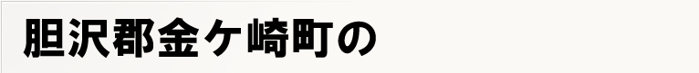 �_��S���P�蒬�̃|�X�e�B���O