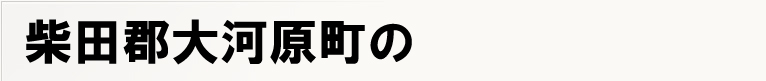 �ēc�S��͌����̃|�X�e�B���O