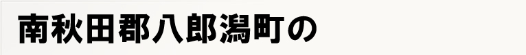 ��H�c�S���Y�����̃|�X�e�B���O