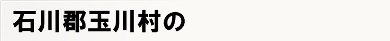 �ΐ�S�ʐ쑺�̃|�X�e�B���O