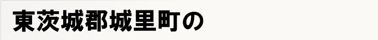 �����S�闢���̃|�X�e�B���O