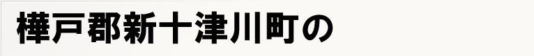 ���ˌS�V�\�Ð쒬�̃|�X�e�B���O