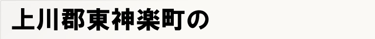 ���S���_�y���̃|�X�e�B���O