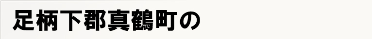 �������S�^�ߒ��̃|�X�e�B���O