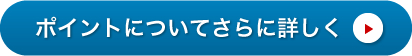 ポイントについてさらに詳しく